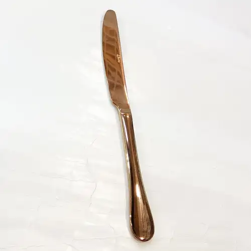 #1010201-K-RG; Stainless steel table knife #RG 