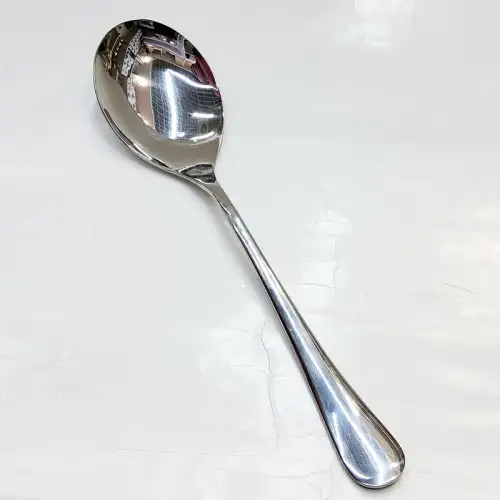 #1010201-SSS38; Stainless steel serving spoon 25.1cm