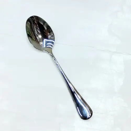 #1010201-TS; Stainless steel tea spoon 13.9cm 