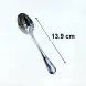 #1010201-TS; Stainless steel tea spoon 13.9cm 