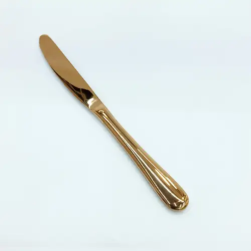 #1084-25RG; Stainless steel table knife #RG