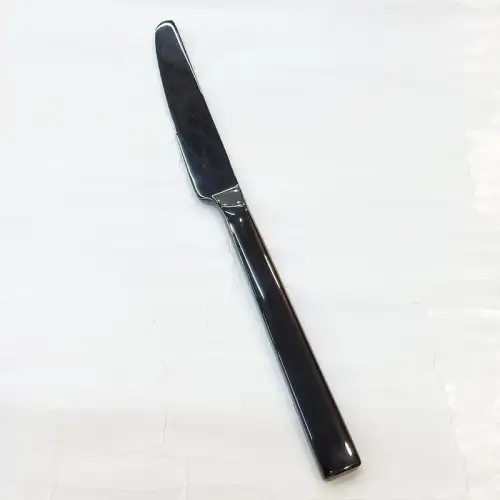 #1138201-25-BK; Stainless steel table knife #BK 