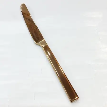 #1138201-25-RG; Stainless steel table kn..