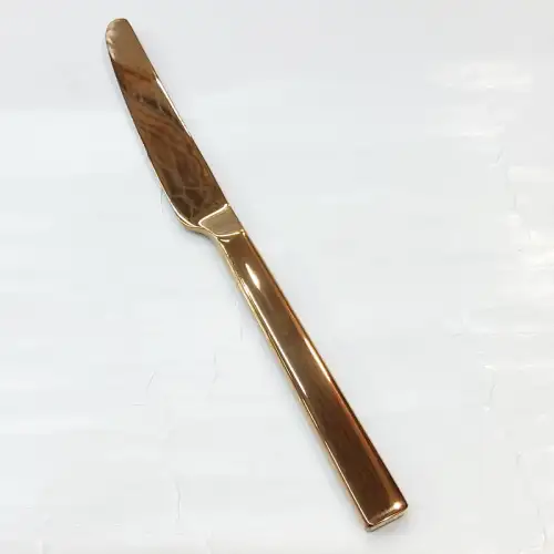 #1138201-25-RG; Stainless steel table knife #RG