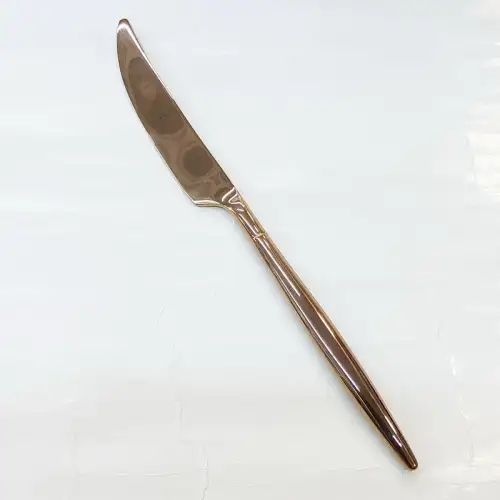 #1171304-25-RG; Stainless steel table knife #RG 