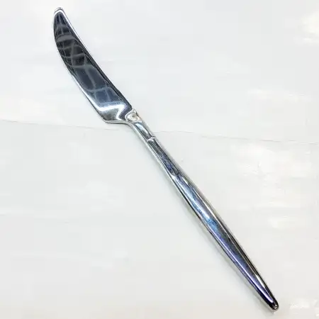 #1171304-25; Stainless steel table knife..