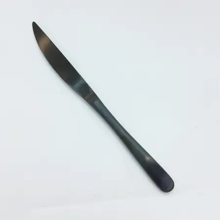 #1186-25MBK; Stainless steel table knife..