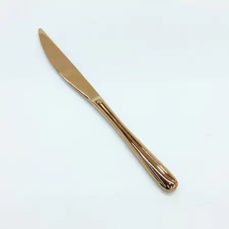 #1186-25RG; Stainless steel table knife ..