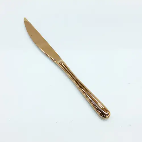 #1186-25RG; Stainless steel table knife #RG