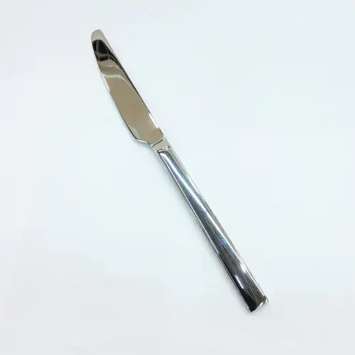 #1194-25; Stainless steel table knife    