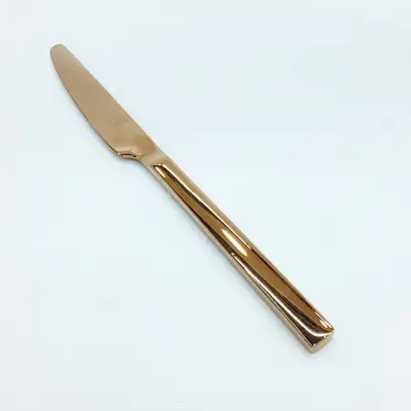#1194-25RG; Stainless steel table knife ..