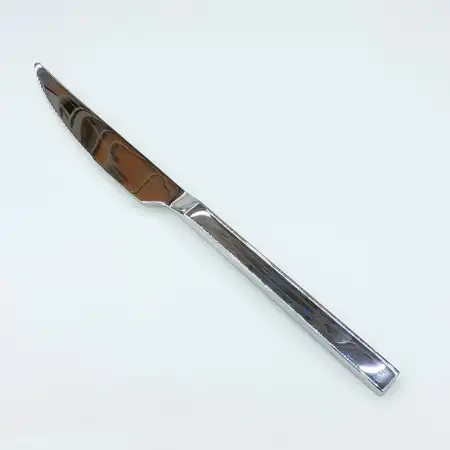 #1194-26; Stainless steel steak knife..