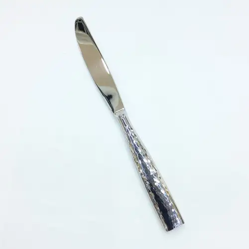 #1206-25; Stainless steel table knife