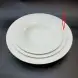 #CT7975; Ceramic pasta plate 25.5cm