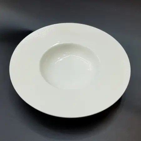 #CT8002; Ceramic pasta and soup plate 29..