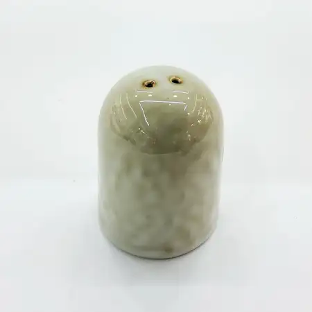 #CX2269; Ceramic salt & pepper shake..