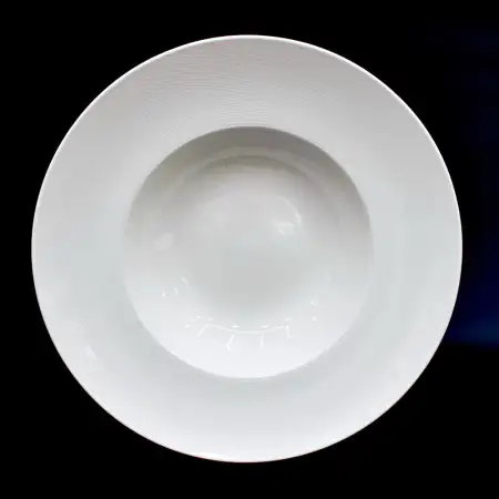 #HE9610; Ceramic pasta plate 10.5 inches..