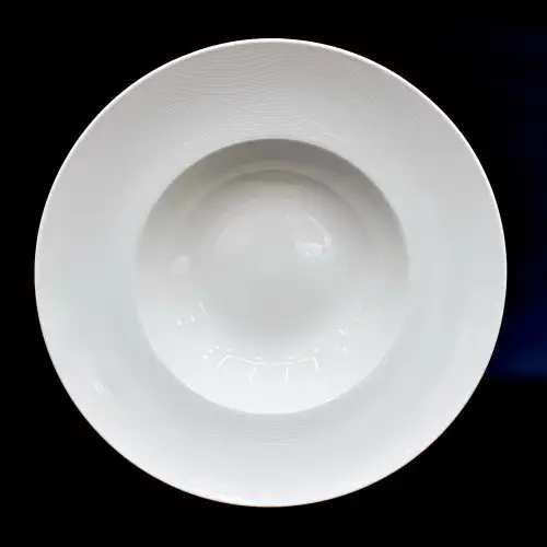 #HE9610; Ceramic pasta plate 10.5 inches