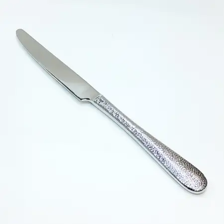 #HL8729; Stainless steel table knife..
