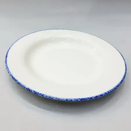 #KH6856; Ceramic deep plate 25.5cm..