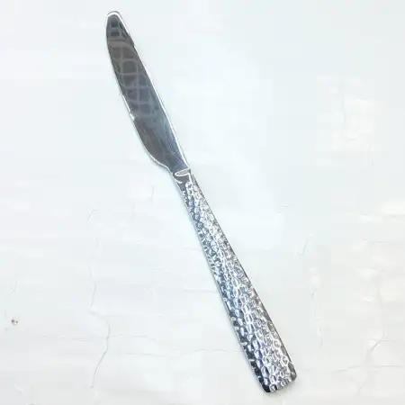 #LY001-25; Stainless steel table knife..