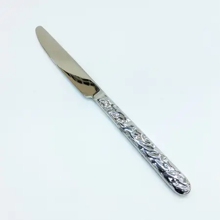 #LY03D-25; Stainless steel table knife..