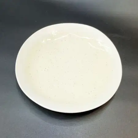 #SG7906; Ceramic 8.5" salad plate  ..