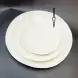 #SG7920; Ceramic 6.6" plate   