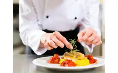 Type of trending Dinnerware Used In the Restaurants