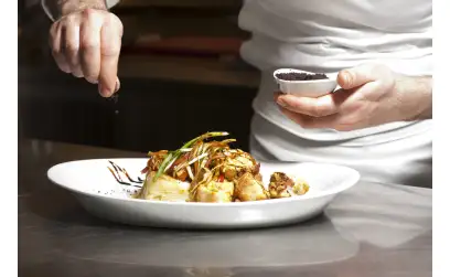 2. Type of trending DinnerwareS Used In the Restaurants